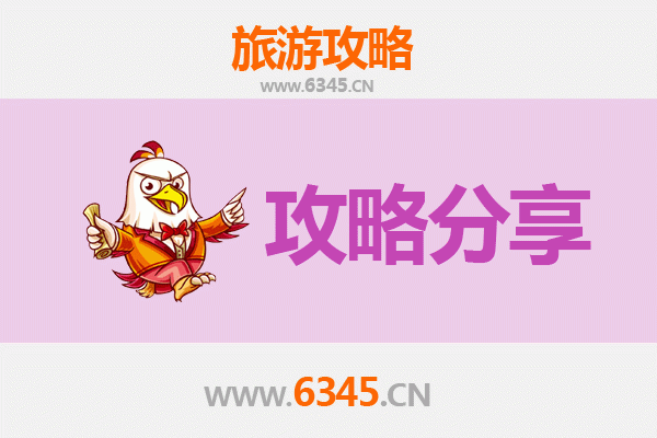 邢台新河出发湄洲岛旅游攻略：跟团 vs 自由行全解析
